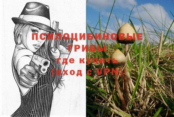 ПСИЛОЦИБИНОВЫЕ ГРИБЫ Лагань