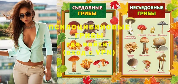ПСИЛОЦИБИНОВЫЕ ГРИБЫ Лагань