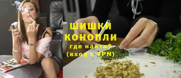 ПСИЛОЦИБИНОВЫЕ ГРИБЫ Лагань