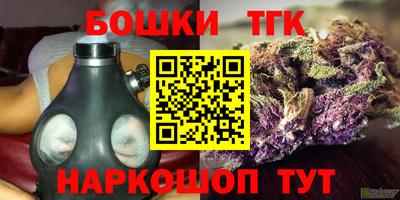 дживик Волжск