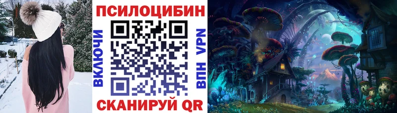 где продают   Ревда  shop телеграм  Галлюциногенные грибы Psilocybe 