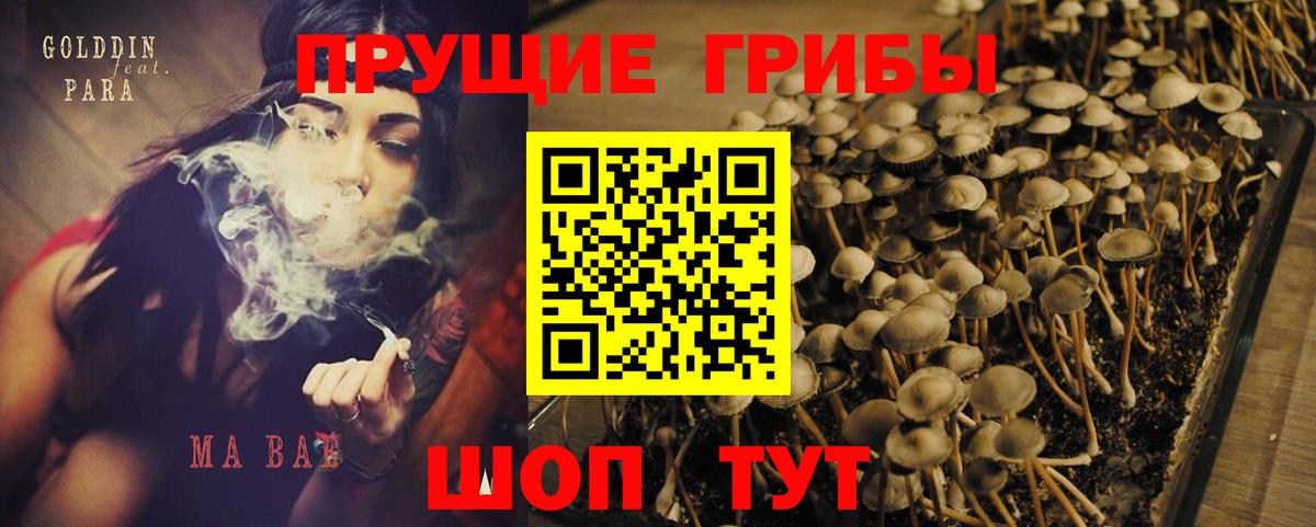 Codein Ревда