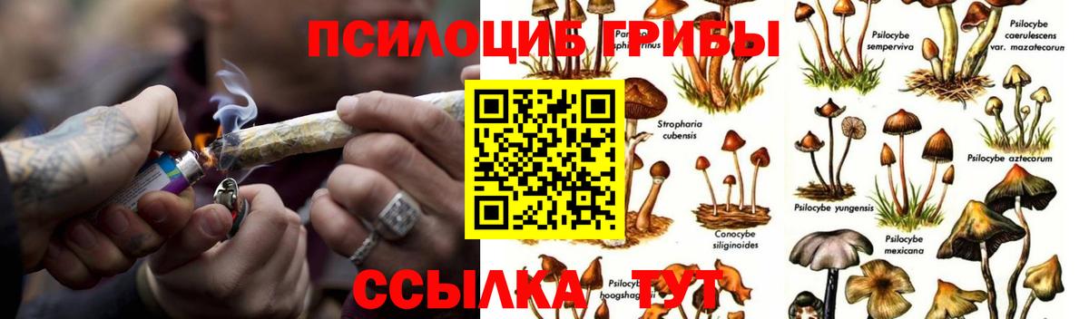 наркота  Вход с VPN  Ревда  Псилоцибиновые грибы Magic Shrooms 